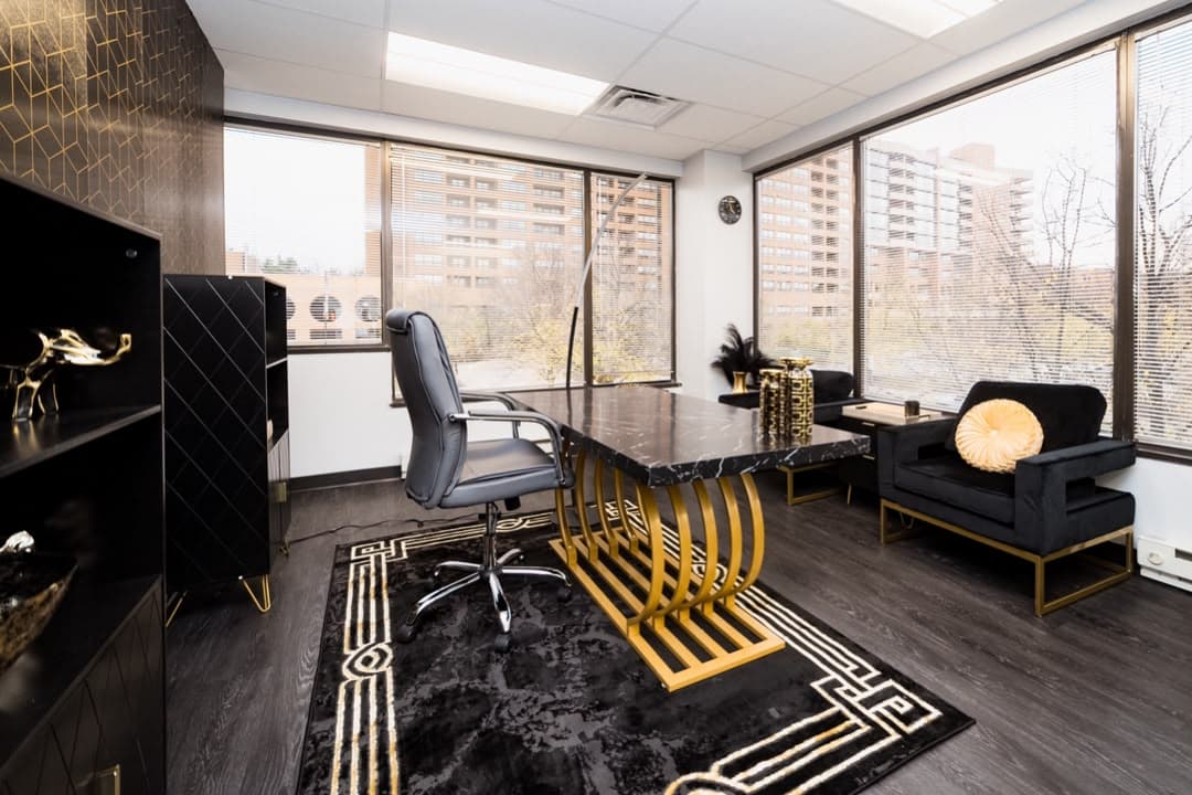 Flex Office Day Pass private executive office